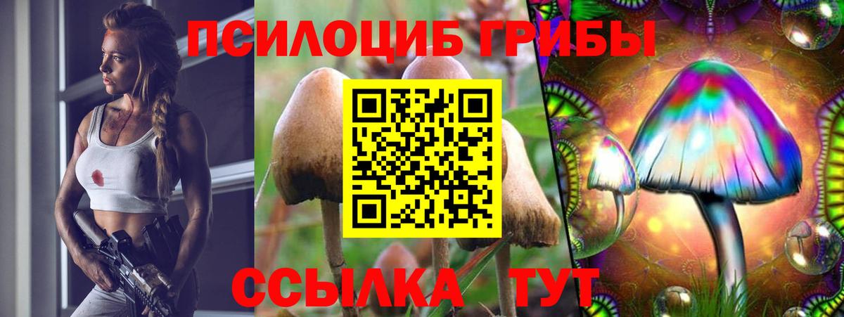 Лянтор  где найти наркотики  Вход с VPN  Псилоцибиновые грибы Cubensis 